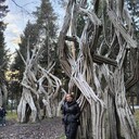  ,   Mila, 37 ,     , c 