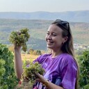 ���������� �����������, ���� ������� �����, 30 ���, ������������ ��� c�������� ���������