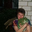  ,   , 61 ,  
