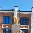  --,   , 38 ,   ,   , c , 