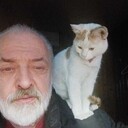  ,   , 61 ,   ,   