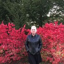 ���������� ������, ���� ������� ��������, 58 ���, ������������ ��� ����� � ���������, c�������� ���������