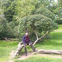 ���������� ���������, ���� ������� �����, 41 ���, ������������ ��� ������, ����� � ���������, c�������� ���������