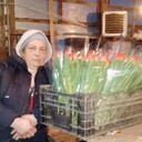 ���������� �������, ���� ������� ����, 43 ����, ������������ ��� ������, ����� � ���������, c�������� ���������, ���������