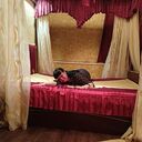 ���������� �������, ���� ������� �����, 38 ���, ������������ ��� ������, ����� � ���������, c�������� ���������