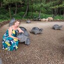 ���������� �����������, ���� ������� �����, 50 ���, ������������ ��� c�������� ���������