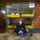 ���������� ������, ���� ������� ������, 36 ���, ������������ ��� ������, ����� � ���������, c�������� ���������