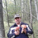 ,   , 53 ,   c 