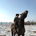 ���������� ������, ���� ������� ���������, 32 ����, ������������ ��� ����� � ���������, c�������� ���������