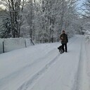 ���������� �������, ���� ������� ���������, 46 ���, ������������ ��� c�������� ���������