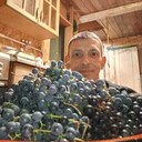 ���������� �����������, ���� ������� �������, 43 ����, ������������ ��� ������, ����� � ���������, c�������� ���������, ���������