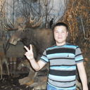  ,   Bauka, 38 ,     , c 