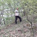  ,   ARAIK, 40 ,   ,   , c 