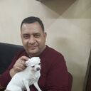 ���������� �������, ���� ������� �����, 50 ���, ������������ ��� c�������� ���������