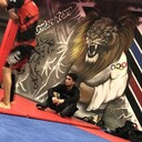 ���������� �����������, ���� ������� �����, 27 ���, ������������ 