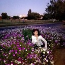  ,   Lusi, 70 ,   ,   