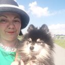  -,   , 55 ,   ,   , c 