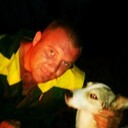 ���������� ������, ���� ������� ���������, 38 ���, ������������ ��� ������, ����� � ���������