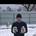 ���������� ������, ���� ������� ������, 42 ����, ������������ ��� c�������� ���������