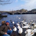 ���������� ������, ���� ������� ���������, 46 ���, ������������ ��� ������, ����� � ���������, c�������� ���������