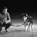 ���������� �������, ���� ������� SAID 5754354, 33 ����, ������������ 