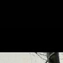  ,   Zorro, 41 ,   ,   , c 