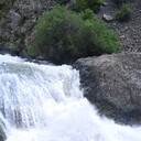 ���������� ������, ���� ������� �������, 31 ���, ������������ ��� ������, ����� � ���������