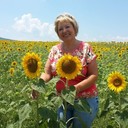 ���������� �����, ���� ������� ������, 62 ����, ������������ ��� ����� � ���������, c�������� ���������