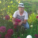 ���������� �������, ���� ������� ���������, 33 ����, ������������ ��� ������, ����� � ���������, c�������� ���������, ���������