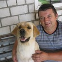  ,   , 61 ,     , c 
