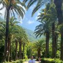 ���������� ���������, ���� ������� Ivan, 31 ���, ������������ ��� ������, ����� � ���������