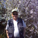  ,   , 65 ,   