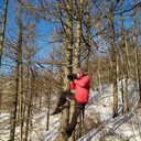 ���������� ����������, ���� ������� ����, 43 ����, ������������ ��� ������, ����� � ���������, c�������� ���������, ���������