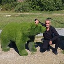 ���������� �����������, ���� ������� �����, 55 ���, ������������ ��� ������, ����� � ���������, c�������� ���������, ���������