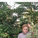  ,   , 54 ,   ,   