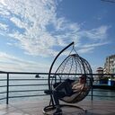 ���������� �����������, ���� ������� �������, 46 ���, ������������ ��� ����� � ���������, c�������� ���������