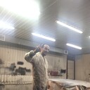 ���������� ������-��-����, ���� ������� �����, 44 ����, ������������ ��� ������, ����� � ���������, c�������� ���������