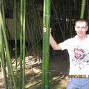  ,   Stason, 42 ,     , c 