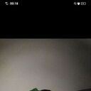 ���������� ������������, ���� ������� ������, 35 ���, ������������ ��� ������, ����� � ���������