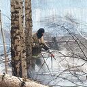 ���������� ������������, ���� ������� �������, 26 ���, ������������ 