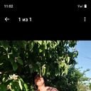 ���������� ���������, ���� ������� �������, 44 ����, ������������ ��� ����� � ���������, c�������� ���������