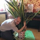 ���������� ���������, ���� ������� ������, 48 ���, ������������ ��� ������, ����� � ���������