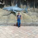 -,   , 31 ,   ,   , c 