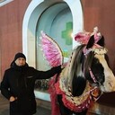 ���������� �����������, ���� ������� �������, 43 ����, ������������ ��� ������, ����� � ���������, c�������� ���������