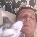  ,   , 37 ,   ,   , c 