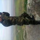  ,   Ramin, 37 ,   ,   , c 