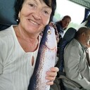  ,   , 66 ,   ,   