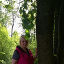 ���������� ����, ���� ������� ������, 40 ���, ������������ ��� ����� � ���������, c�������� ���������