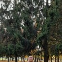 ���������� �������, ���� ������� JAVOHIRBEK, 26 ���, ������������ ��� ������, ����� � ���������, c�������� ���������