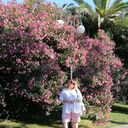 ���������� ���������, ���� ������� ����, 44 ����, ������������ ��� ������, ����� � ���������, c�������� ���������